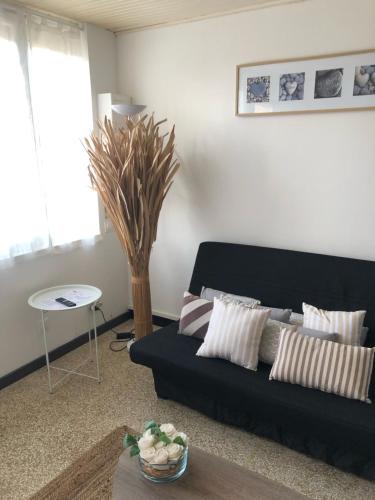 Superbe Cocoon Rive gauche Palavas