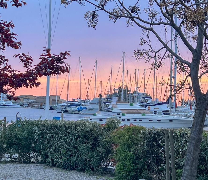 Superbe, face aux bateaux - 2ch + jardin - marina 2 Voie Florence Arthaud, 66140 Canet-en-Roussillon