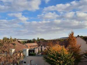 Superbe grand appartement vue sur le vignoble