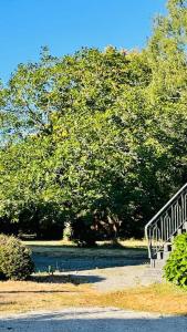 Superbe logement au cœur de la nature