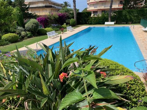 Superbe Studio Le pavois