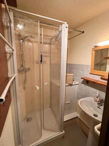 Superbe studio, Praz-sur-Arly
