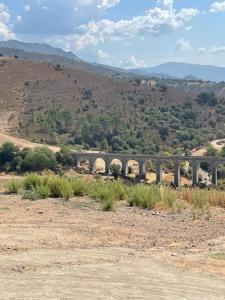 Appartement Superbe T2 au calme route du fussatu les jardins d'Elisa 20250 Corte Corse