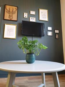 Superbe T2 de 45m² en hyper centre