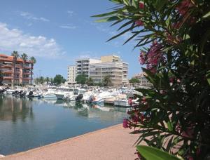 Superbe T3 climatisé calme Marina canet 2 min de la plage