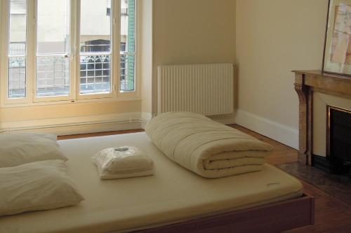 Superbspacious and quiet 4-rooms flat city center5 min walking gare #H9