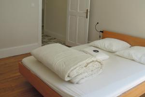 Superbspacious and quiet 4-rooms flat city center5 min walking gare #H9