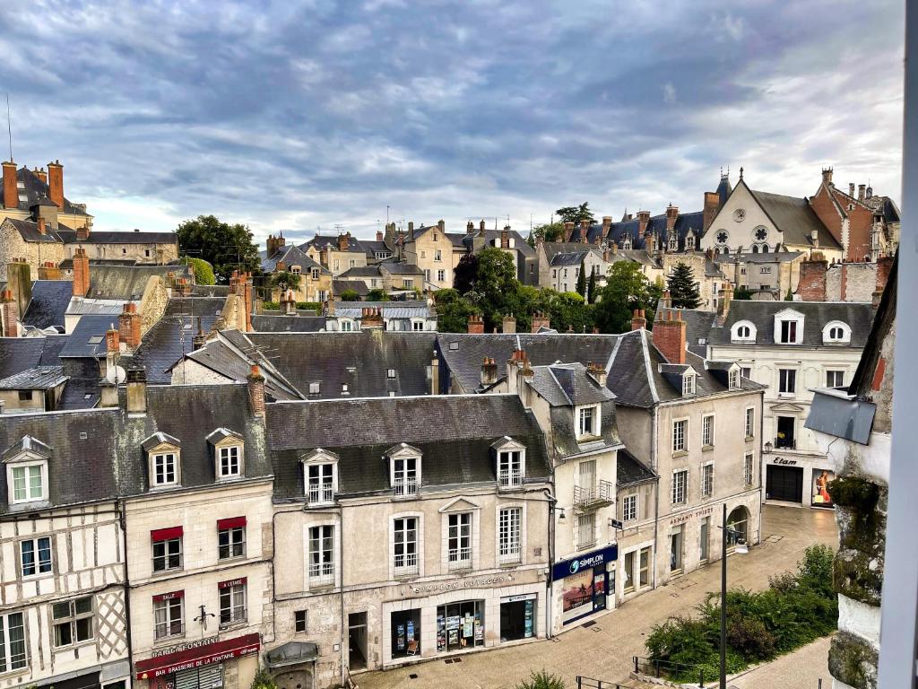 Appartement ☆ Sur les toits de Blois ☆ T2 avec vue Château 12 Petits Degrés Saint-Honoré 41000 Blois