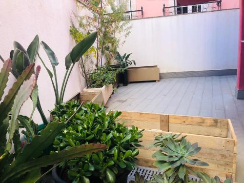 Sweet Apartment with Terrace in Central