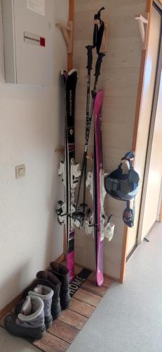 Sweet appartement in a family ski area