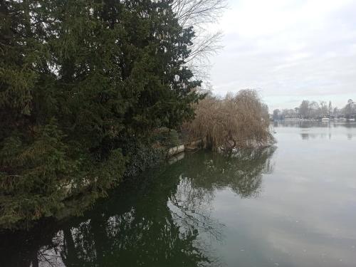 Sweet Lake - Host Paris