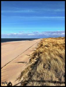 Appartement Sylt-Sonne-Meer Am Dünengrund 11 25980 Rantum Schleswig-Holstein