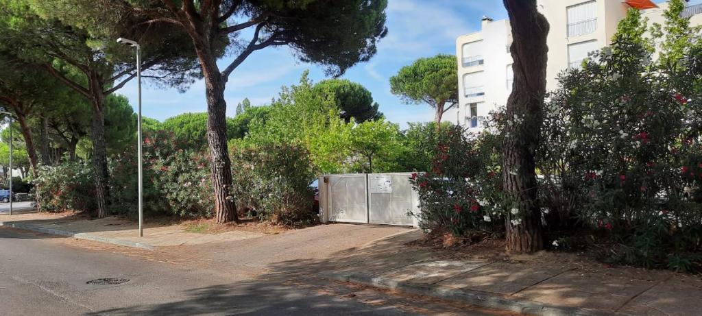 Appartement T 2 MOTTLAND 300 m Plage 40 Rue des Croisades 34280 La Grande Motte