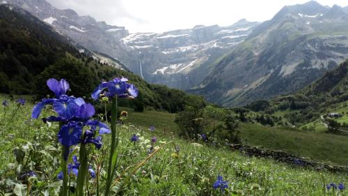 T1 cabine de Letious