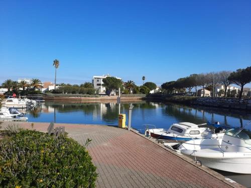 T1 SUPERBE VUE sur La Marina Saint Cyprien