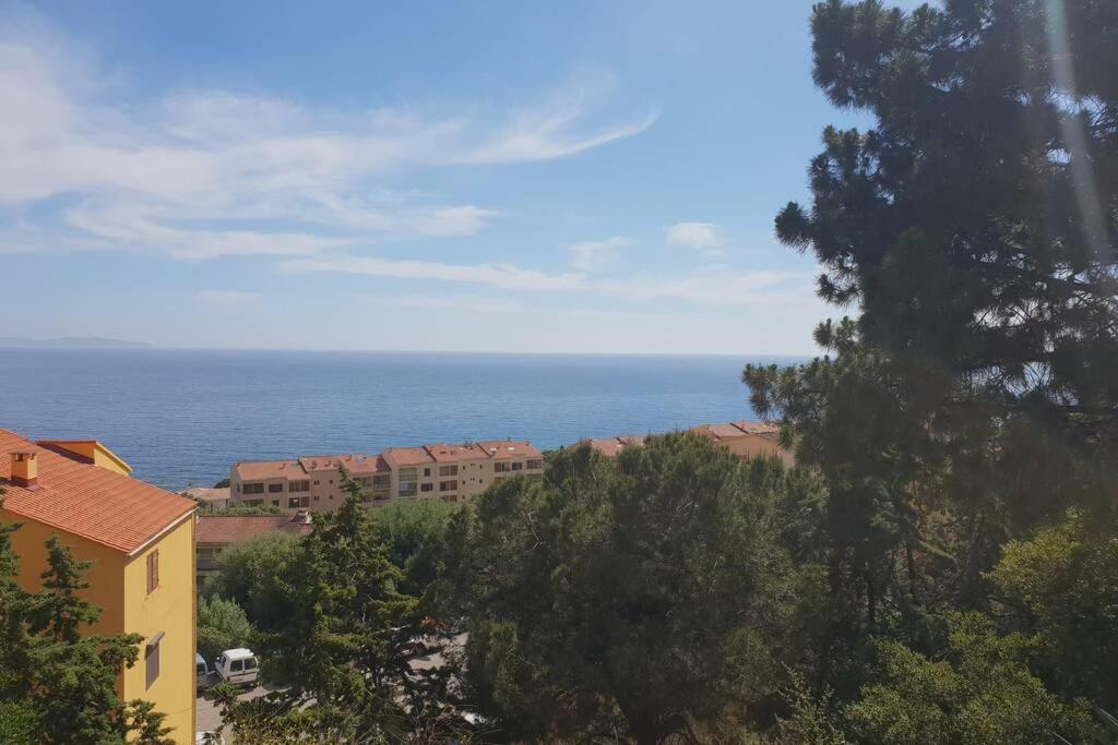 T2 Ajaccio Sanguinaires Vue Mer Plein Sud 300m plage Bâtiment Arbousiers 1 Chemin des Cyprès, 20000 Ajaccio