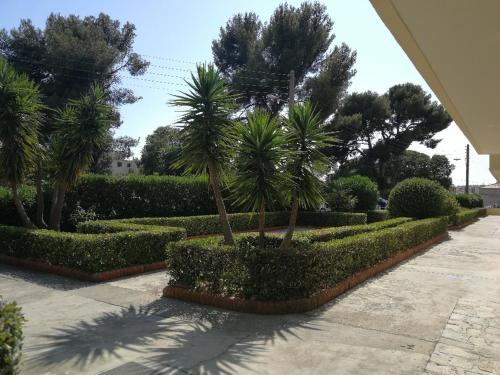 T2 avec loggia fleurie et ensoleillée