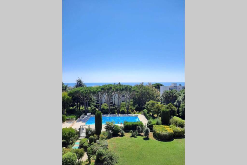 Appartement T2 avec magnifique vue mer, piscine, clim, parking 568 Chemin des Moyennes Bréguières 06600 Antibes