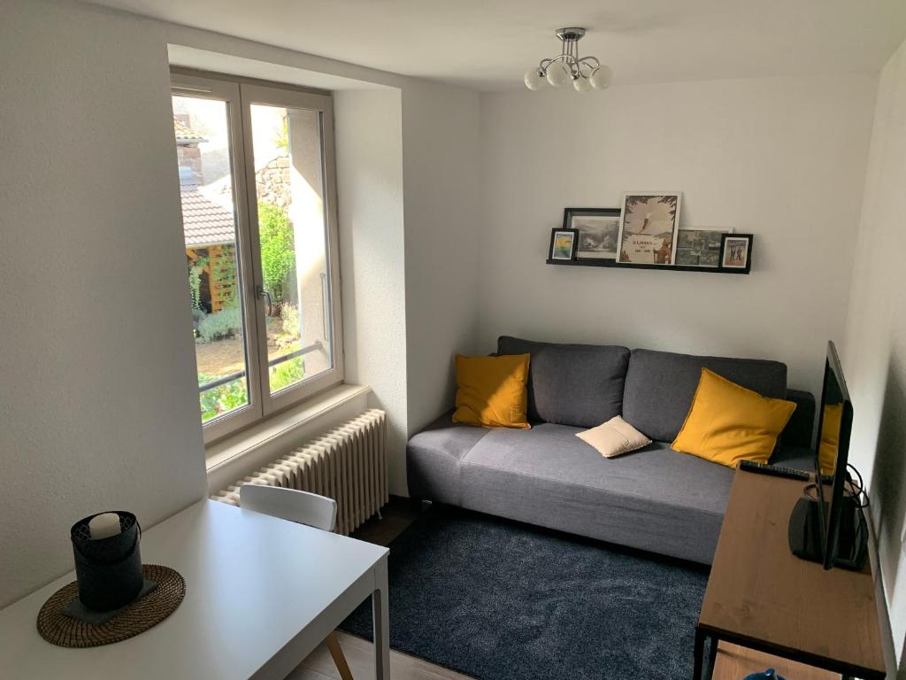 T2 avec terrasse vue Hautacam dans villa historique \ 65400 Argelès-Gazost