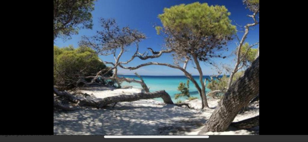 T2 chaleureux sur talence 33400 Talence