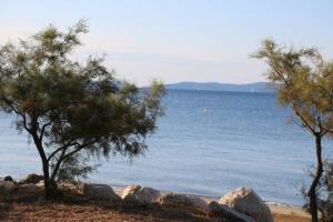 T2, climatisé, piscines, près de la mer