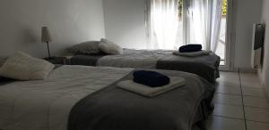 T2 Cosy - Lit King Size - parking privé gratuit - wifi - 2 ou 3 lits au choix - centre ville - proche gare