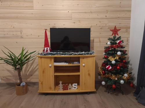 T2 cosy proche des pistes