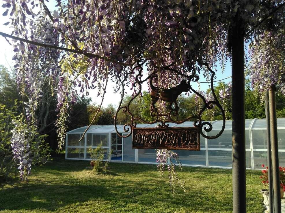 T2 D en coeur de Balaruc dans maison avec jardin ideal couple de curistes 34540 Balaruc-les-Bains