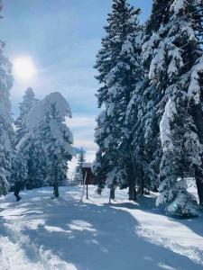 T2 de charme, SPA / Thermes d’Uriage, Ski