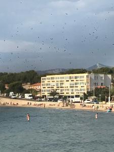 T2 les pieds dans l eau Vue Mer