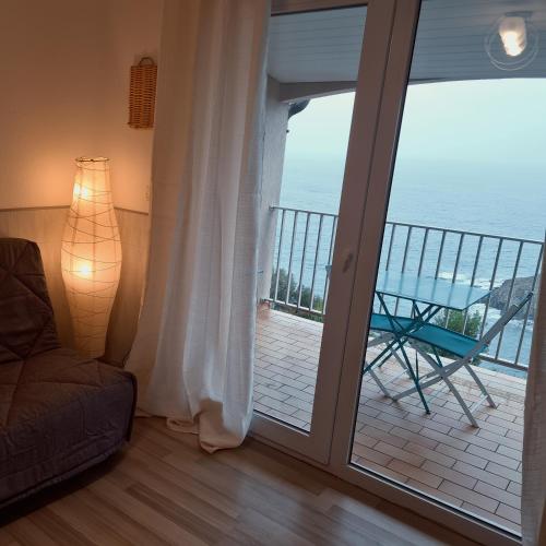 appartement T2 magnifique vue mer Banyuls-sur-Mer france