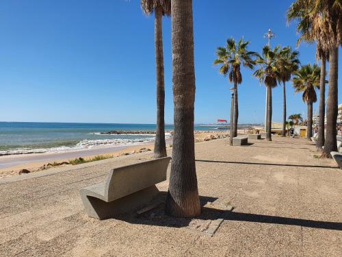 T2-MAMAMIA II Frente Mar