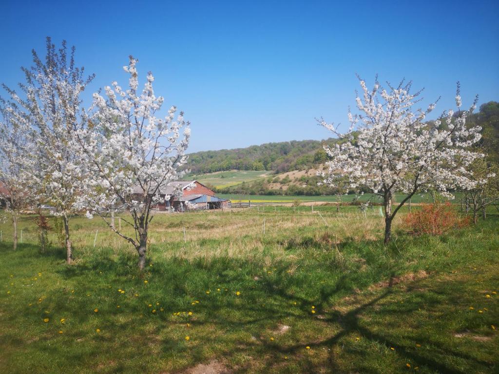 T2 Mandelieu, vue exceptionnelle 06210 Mandelieu-la-Napoule