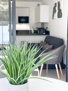 T2 NEUF TERRASSE PRES des PLAGES