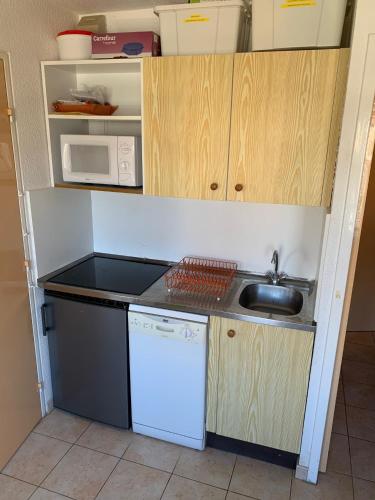 Appartement T2 PUY SAINT VINCENT Les Balcons de Pendines 05290 Puy-Saint-Vincent Provence-Alpes-Côte d\'Azur