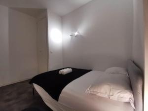 Appartement T2 rénové deux pas du métro 50 Rue Pierre Semard 69600 Oullins Rhône-Alpes