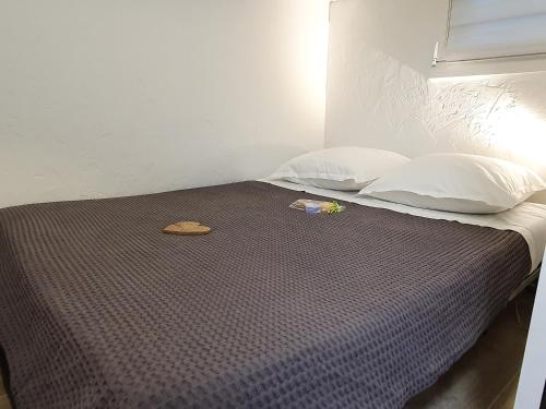 T2 rez de jardin front de mer