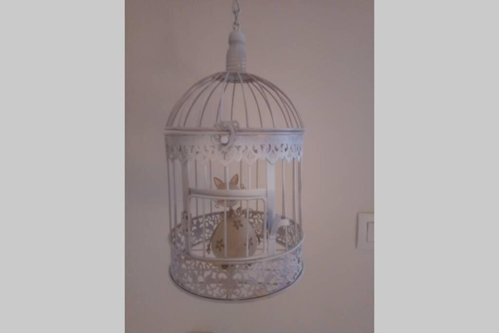 T2 tout confort- 58000 Nevers