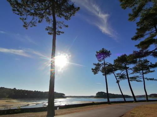 appartement T2bis idealement situé au bord du lac marin de Vieux Boucau Vieux-Boucau-les-Bains france