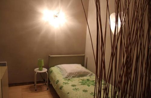 T3 34 m2 gare st Roch