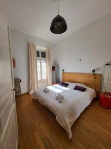 T3 Centre ville Ajaccio