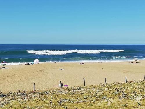 T3 PAYS BASQUE SUD LANDES