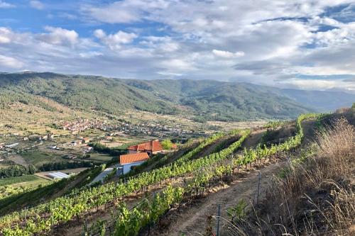 TAC - Penada Wine - Main House