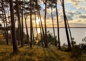 Tallskog - Dein Apartment am Naturstrand Hohen Wieschendorf