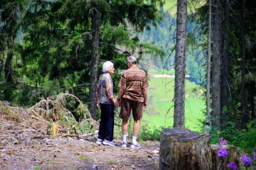 Tannenzapfen