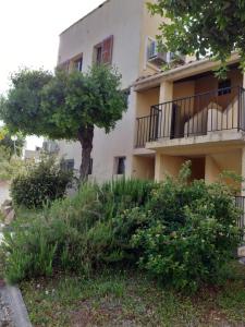 Appartement Tbella2 4p 91Terra bella 2 20128 Porticcio Corse