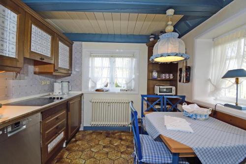 Teegelii Hof Blaue Stranddistel Teegelii Hof