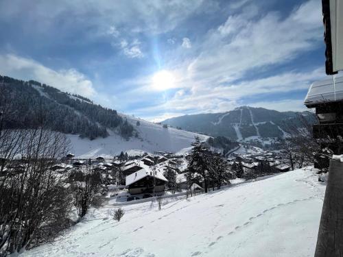 Tendieu Soleil B - Appartement dans chalet, vue montagnes