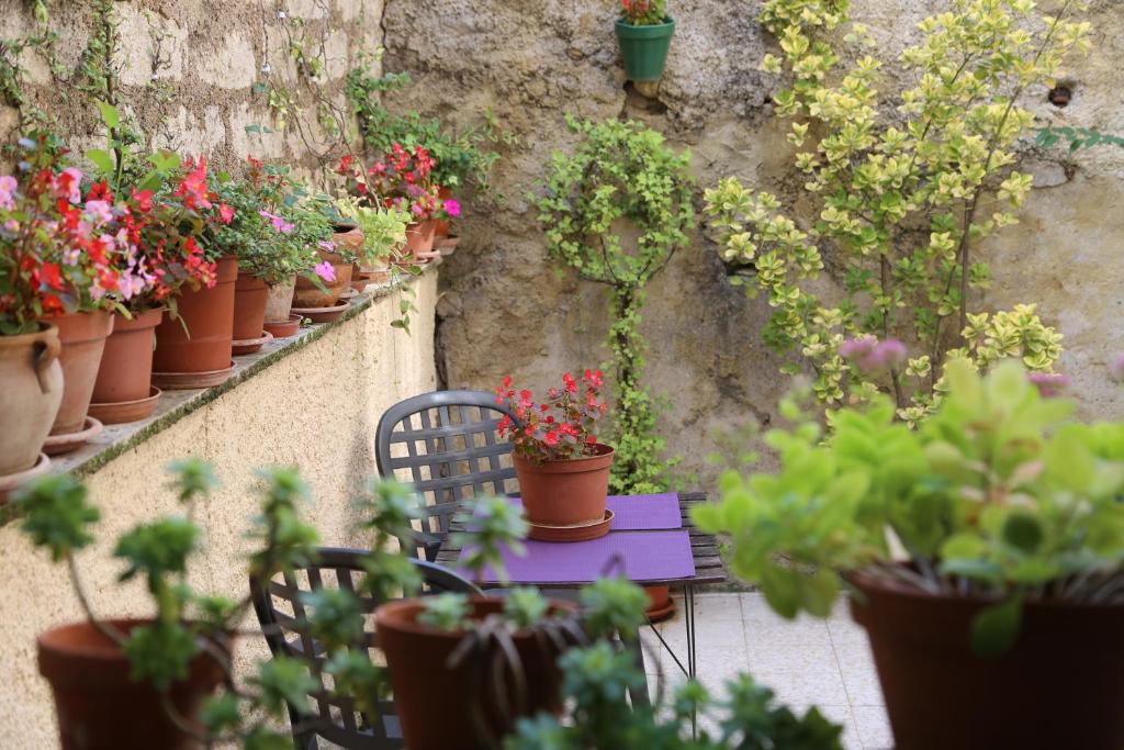 Appartement Terrasse fleurie 15 avenue emile combes 34120 Pézenas