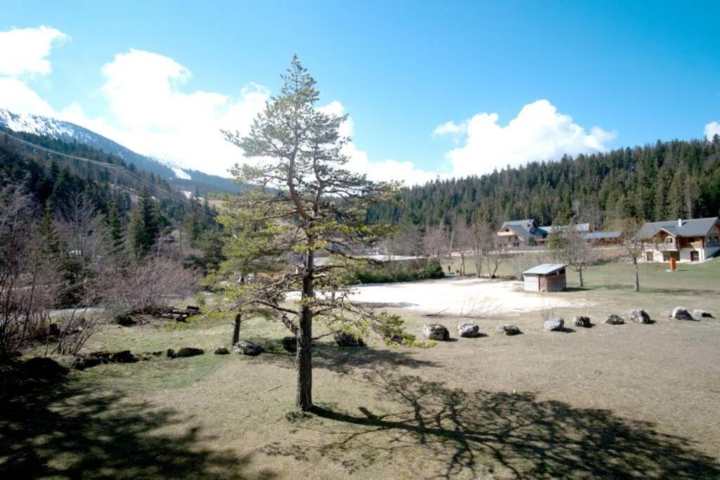 Terrasse plein sud, entre pistes et forêts Les Fayards, Clos de la Balme, 38250 Corrençon-en-Vercors